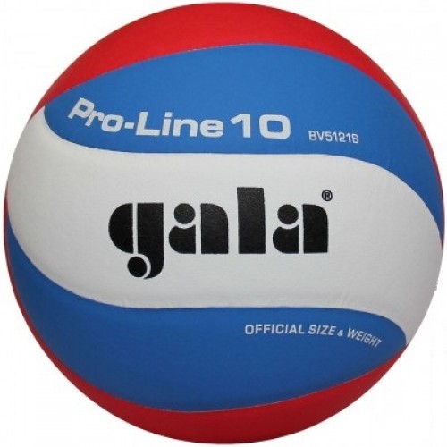 Фото М'яч волейбольний Gala Pro-Line BV5121SA №1
