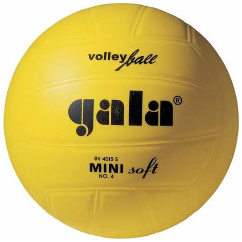 Мяч волейбольный Gala Mini Soft BV4015SC