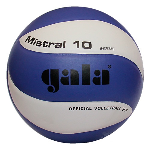 Фото М'яч волейбольний Gala Mistral BV5661SC №1