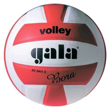 Фото М'яч волейбольний Gala Bora BV5411SCE №1