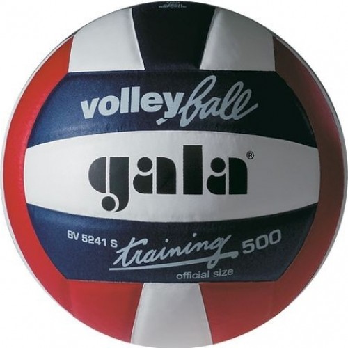 Фото М'яч волейбольний Gala Training BV5241SBE №1