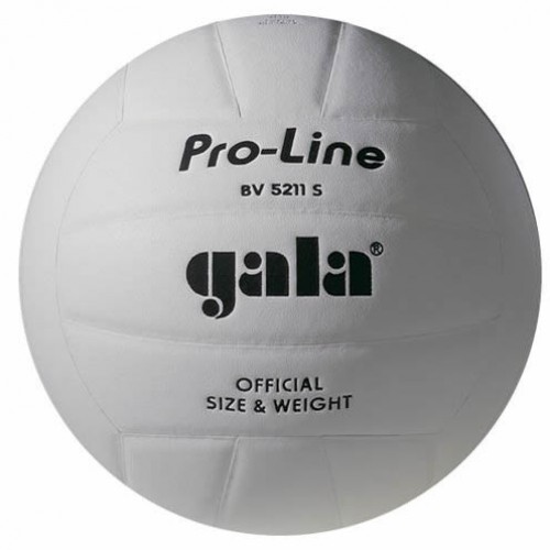 Фото Мяч волейбольный Gala Pro-Line BV5211SAE №1