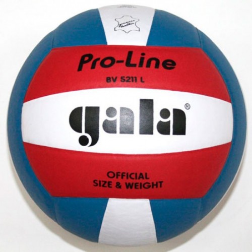 Фото Мяч волейбольный Gala Pro-Line BV5211LAE №1