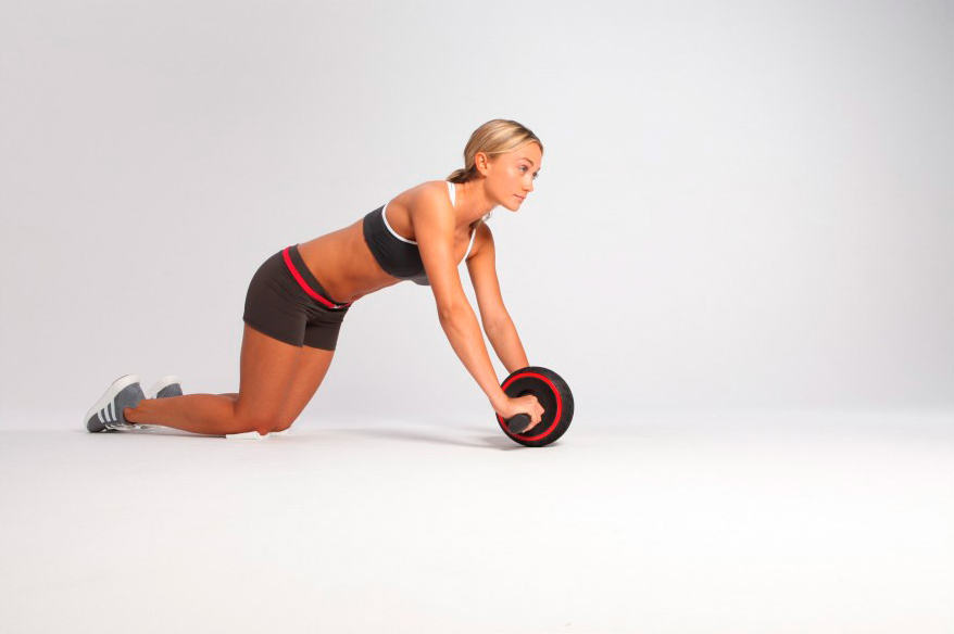 Ролик для преса Iron Gym IG00057