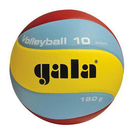 Фото М'яч волейбольний Gala Training BV5651SB №1