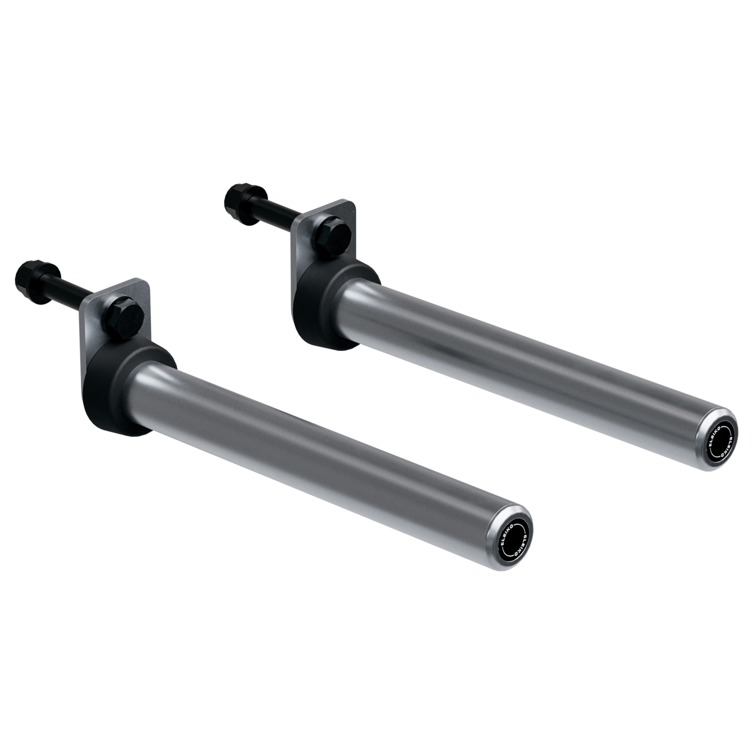 Держатели для дисков Eleiko Prestera Weight Pins пара купити в Києві та ...