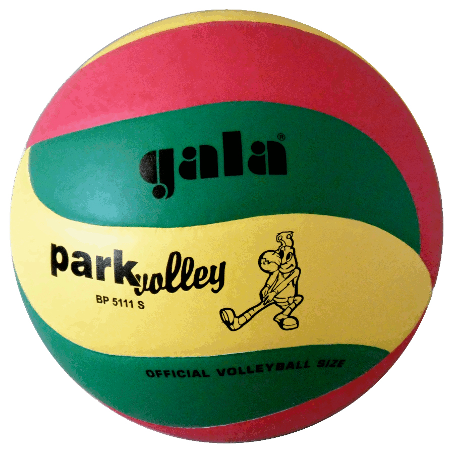 М'яч волейбольний Gala Park Volley 10 BP5111SC