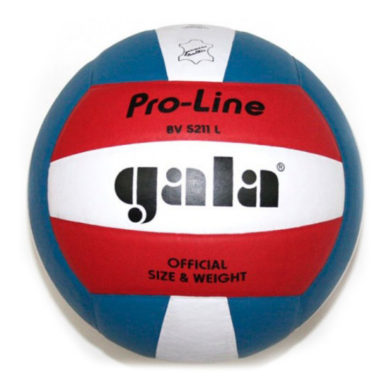 Фото М'яч волейбольний Gala Pro-Line BV5011SAE №1