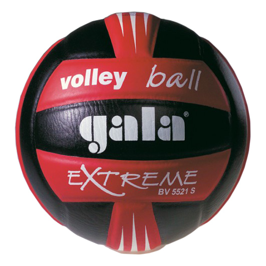 Фото М'яч волейбольний Gala Extreme BV5521SCE №1