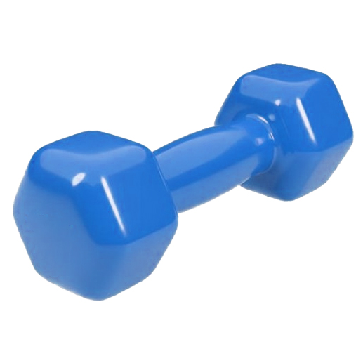Фото Гантель Fitex 2LB 1 кг MD2015-2LB-h Уценка №1