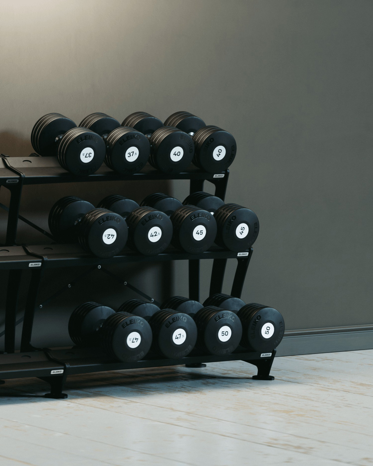 Фото Гантель Eleiko Plate 100 кг 3085233-1000 №2