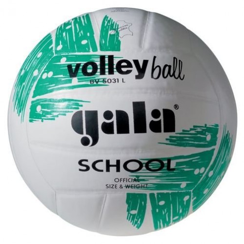 Фото Мяч волейбольный Gala School BV5031LBE №1
