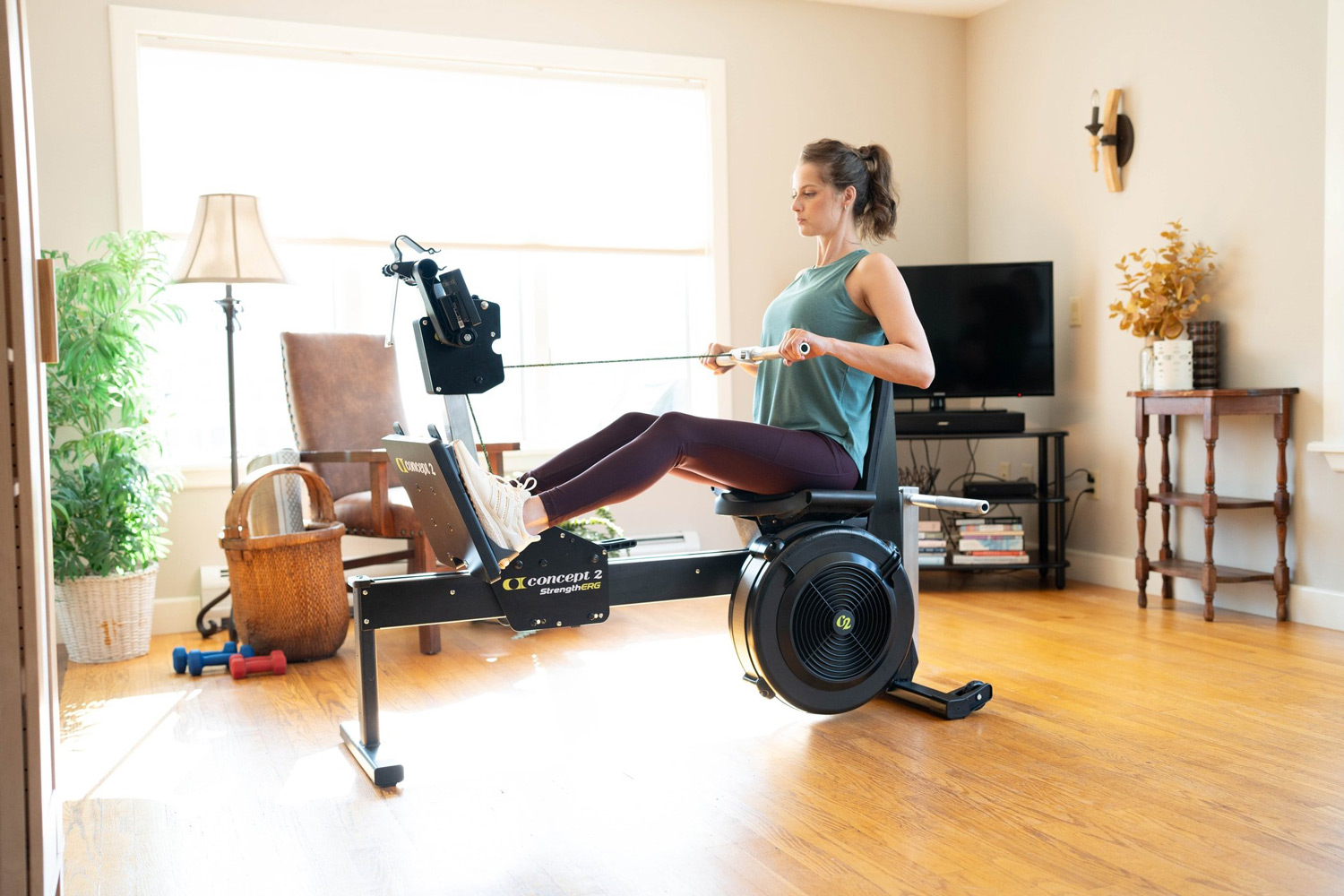 Фото Силовий ергометр Concept2 StrengthErg №7