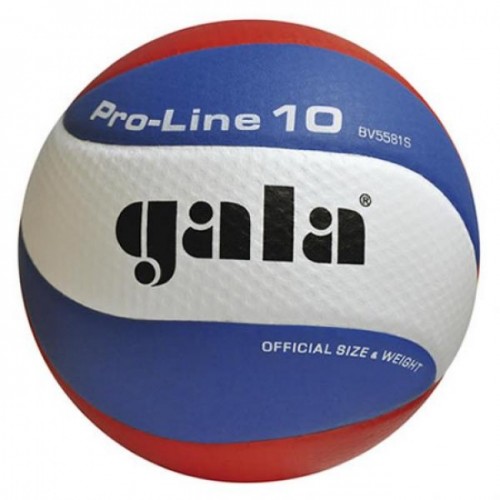 Фото М'яч волейбольний Gala Pro-Line BV5581SA №1