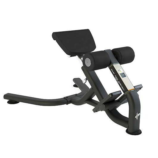 Гіперекстензія (кут 45°) Pulsefitness 665G-AAQ