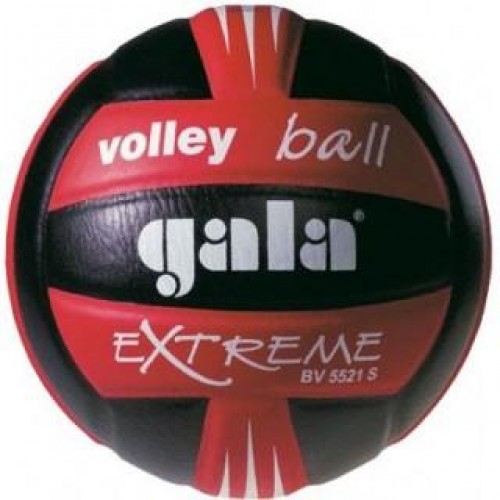 Фото Мяч волейбольный Gala Volleyball BV5221SE1 №1