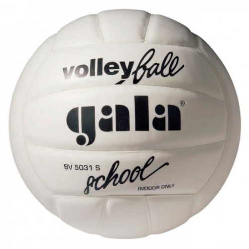 Фото М'яч волейбольний Gala School FBV5031SBE №1