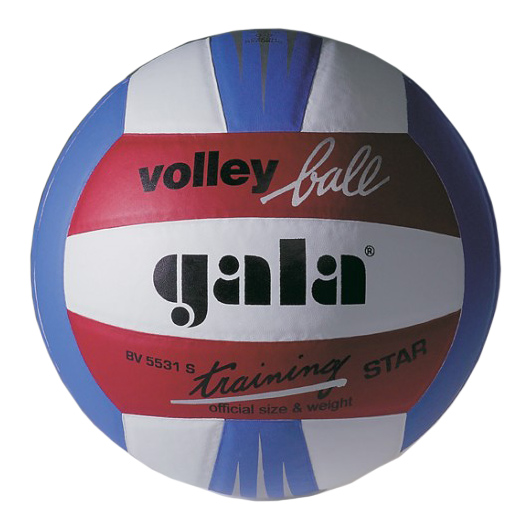 М'яч волейбольний Gala Training BV5531SBE