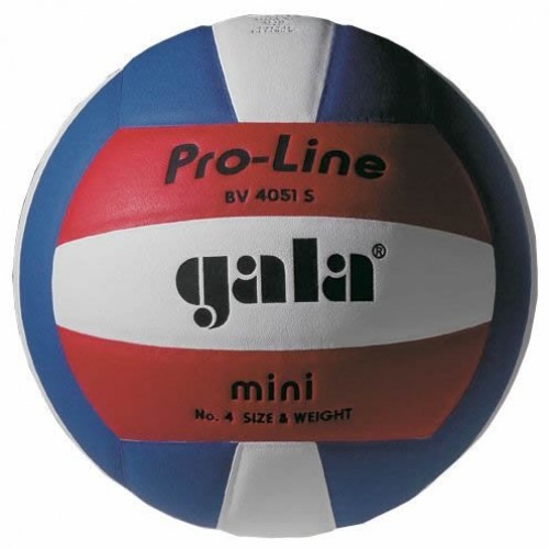 Фото Мяч волейбольный Gala Pro-Line BV4051SAE №1