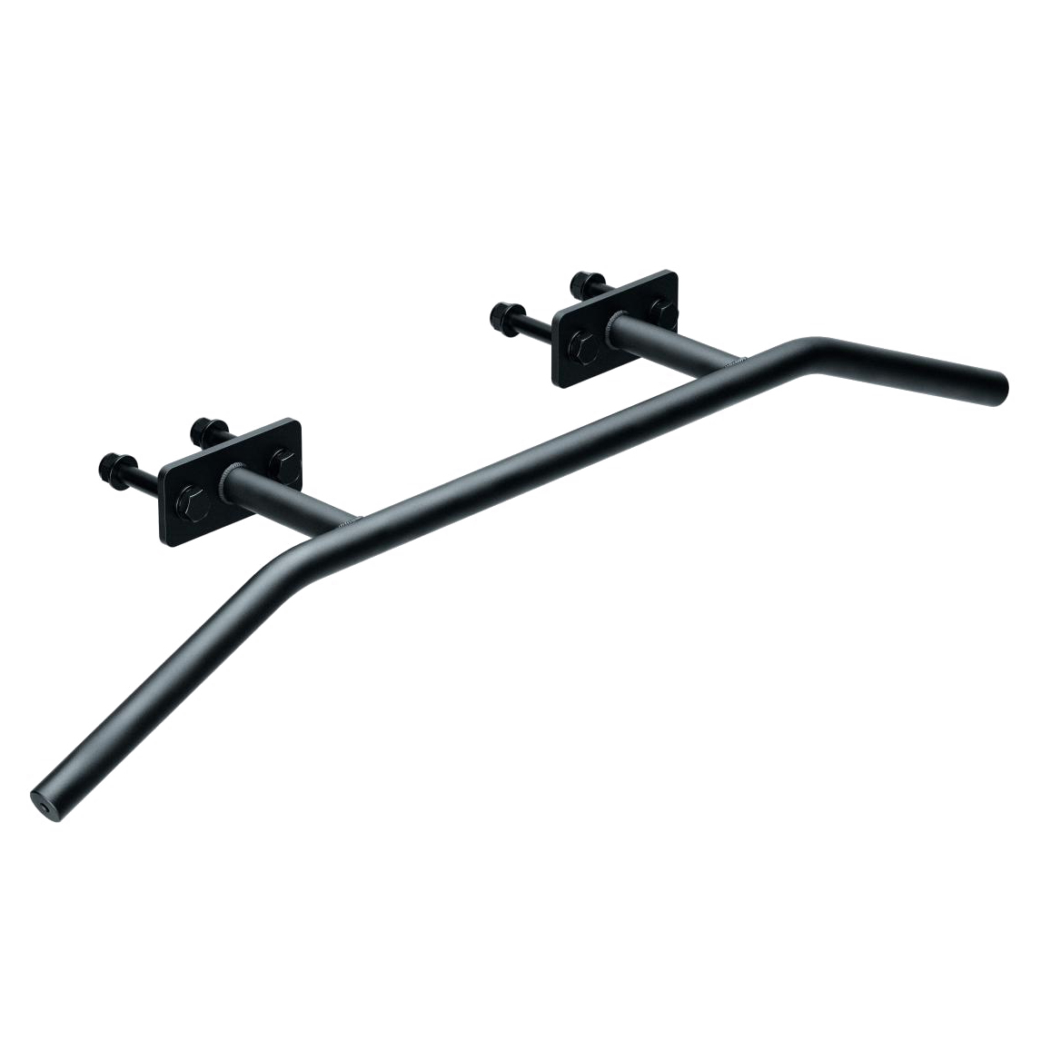 Фото Турнік вигнутий Eleiko Prestera Angled Pull-Up Bar №1
